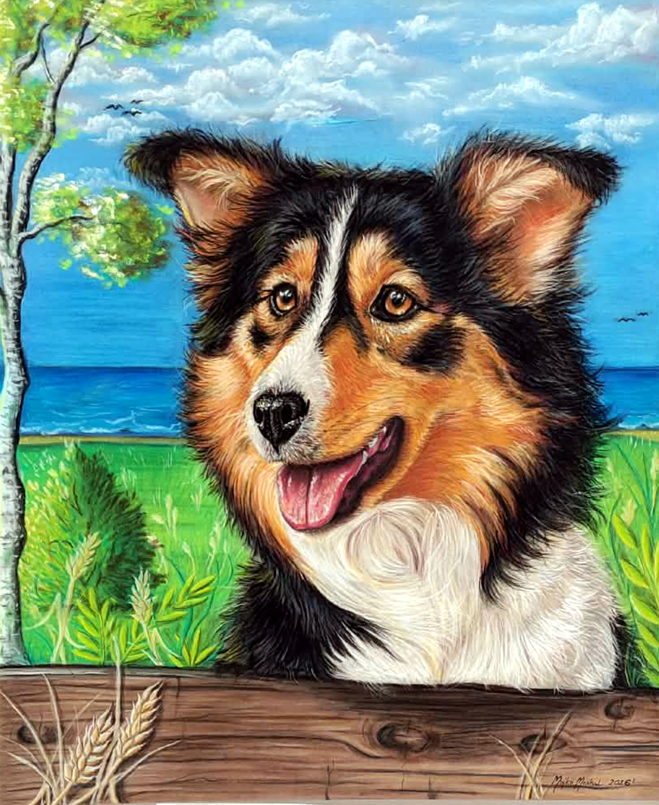 Portret psa collie, pastele